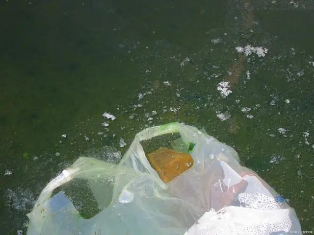 U8国际mvr蒸发器